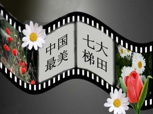 梯田