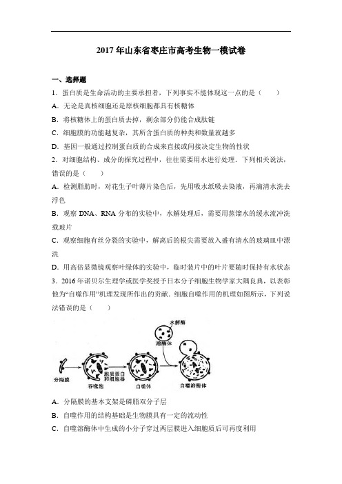 山东省枣庄市高考生物一模试卷Word版含解析