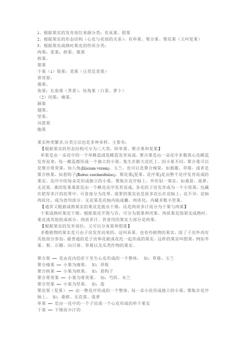 果实分类