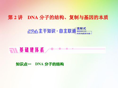 高中生物必修二     DNA分子的结构、复制与基因的本质