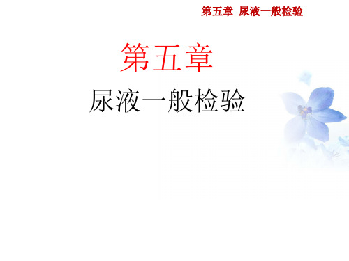 尿液一般检验-尿液理学检查