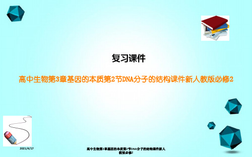 高中生物第3章基因的本质第2节DNA分子的结构课件新人教版必修2