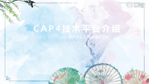 CAP技术平台介绍v