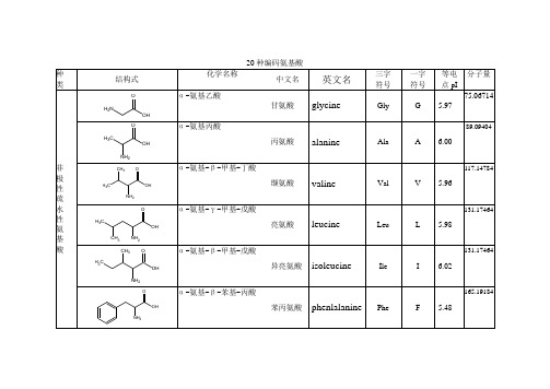 20种编码氨基酸