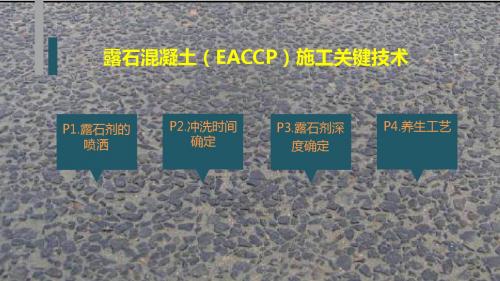 露石混凝土施工关键技术