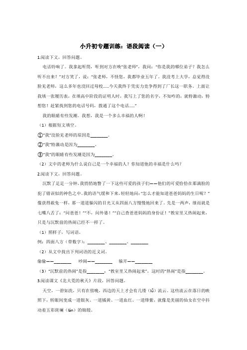 人教部编版小升初语段阅读专题训练(含答案)