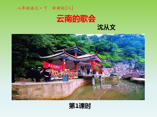 八年级语文下册 第四单元 第16课 云南的歌会课件1 (新版)新人教版