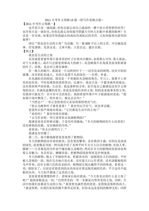 2011年中招考试语文作文