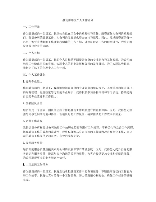 融资部年度个人工作计划