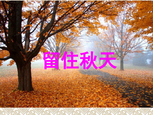 三年级上册美术课件-第十一课 留住秋天 ︳湘美版 (共31张PPT)