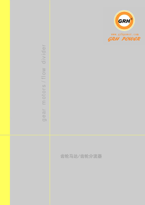 样本_齿轮马达 gear motor