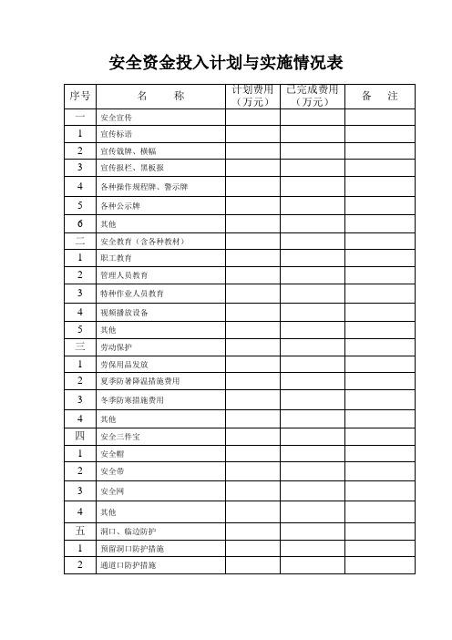 安全资金投入计划与实施情况表