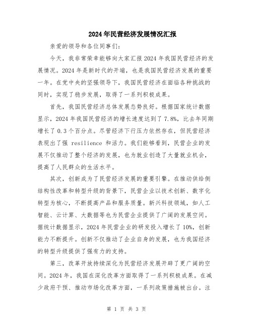 2024年民营经济发展情况汇报