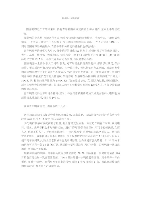 圈养鸭的饲养管理