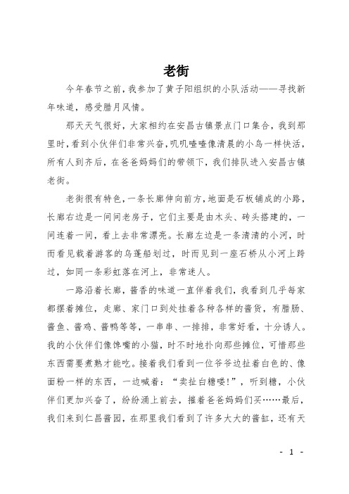 高一日记：老街