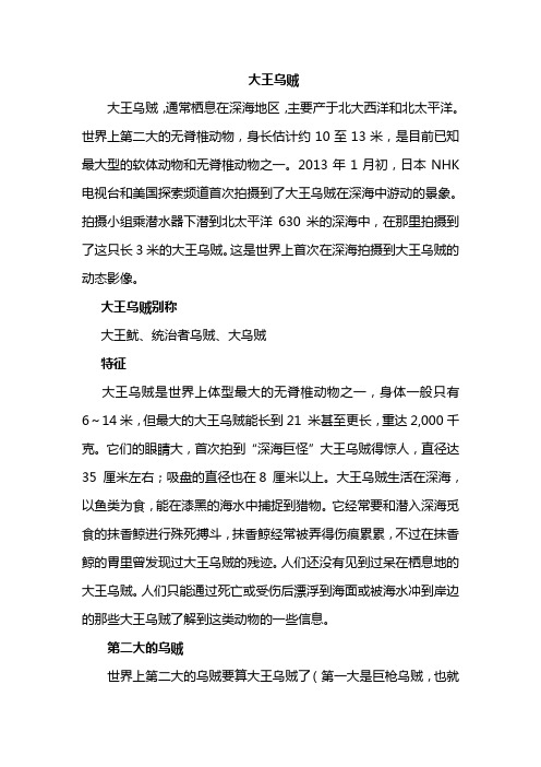 大王乌贼资料大全