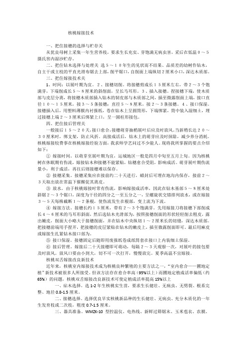 核桃嫁接技术