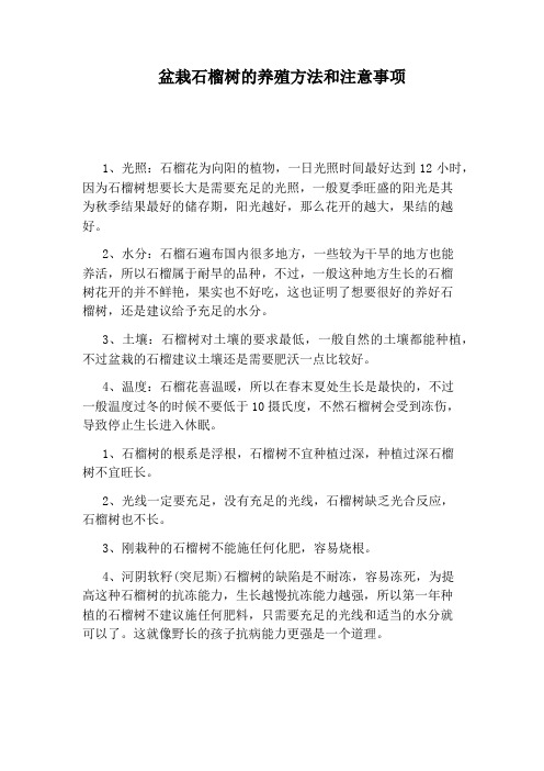 盆栽石榴树的养殖方法和注意事项