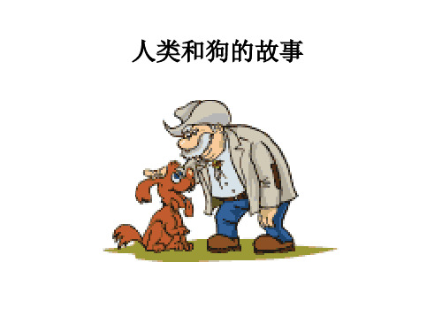 狗狗∶人类的朋友