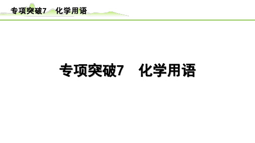 【中考化学复习】考点梳理《4.专项突破7  化学用语》PPT课件