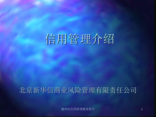 新华信信用管理服务简介