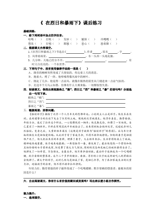 在烈日和暴雨下  课后练习
