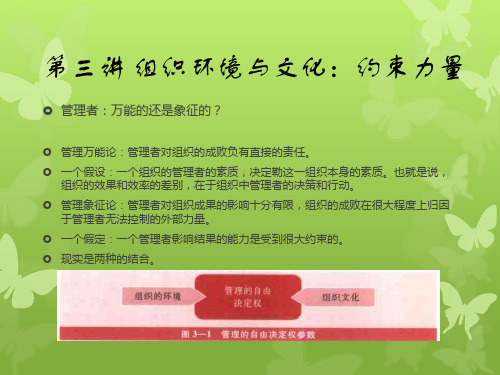 组织环境与文化：约束力量