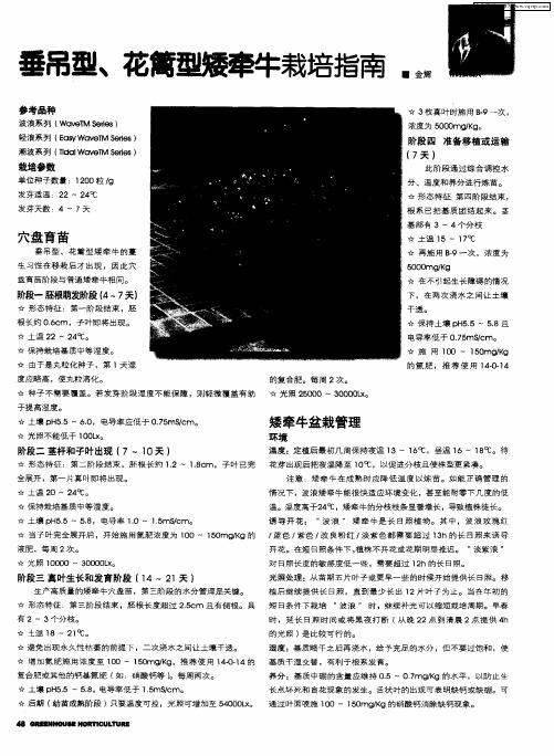 垂吊型、花篱型矮牵牛栽培指南