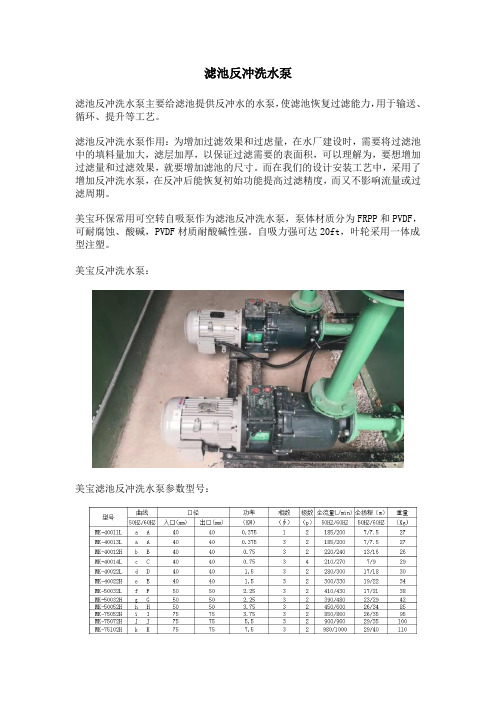 滤池反冲洗水泵