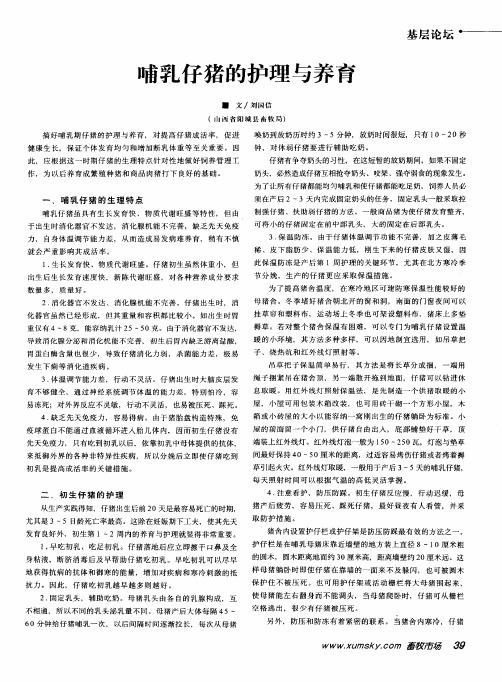 哺乳仔猪的护理与养育