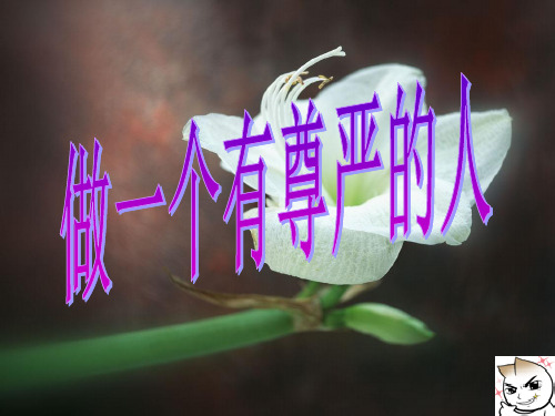 七年级政治下册 第二单元 第五课 做一个有尊严的人 课件湘教版