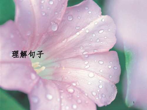 五年级-理解句子PPT课件