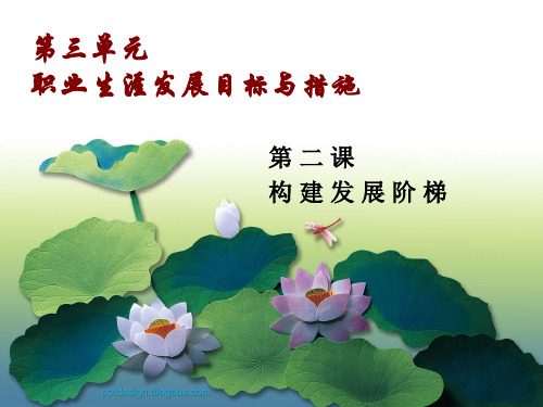 第三单元第二课构建发展阶梯-上课用