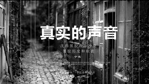 黑胶历史和音乐欣赏