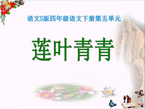 语文S版语文四下《莲叶青青》ppt课件1