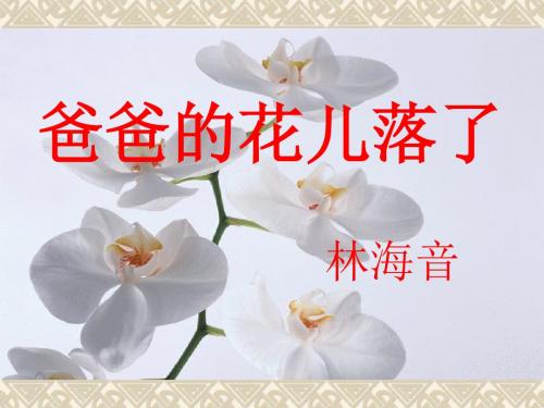 六年级下册语文爸爸的花儿落了鲁教版 (3)