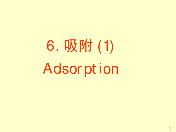 生物分离工程：06-吸附-1(2007)