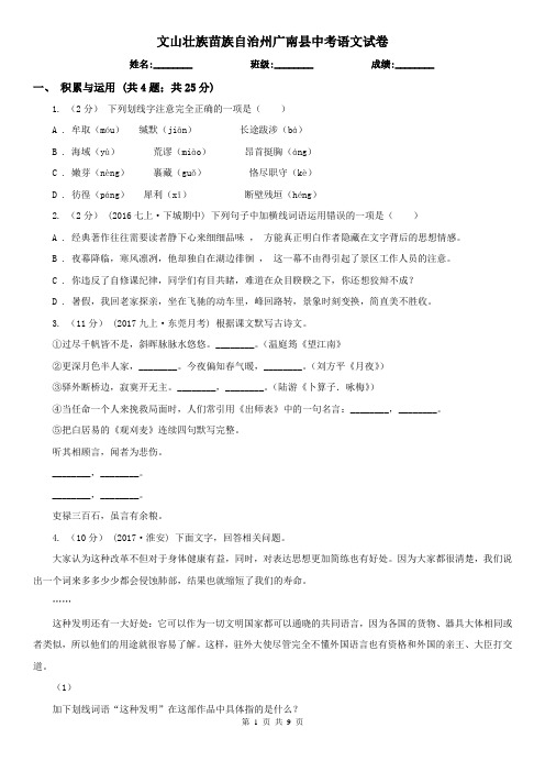 文山壮族苗族自治州广南县中考语文试卷