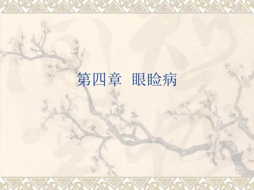 眼睑病教学课件