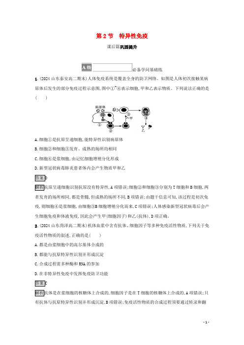 2024_2025学年新教材高中生物第4章免疫调节第2节特异性免疫测评含解析新人教版选择性必修第一册