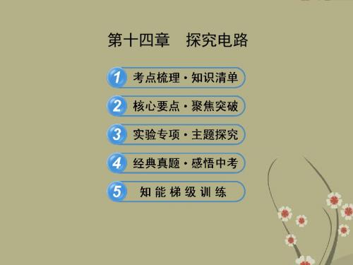 【全程复习方略】(教师用书)中考物理 第十四章 探究电路配套课件 沪科版