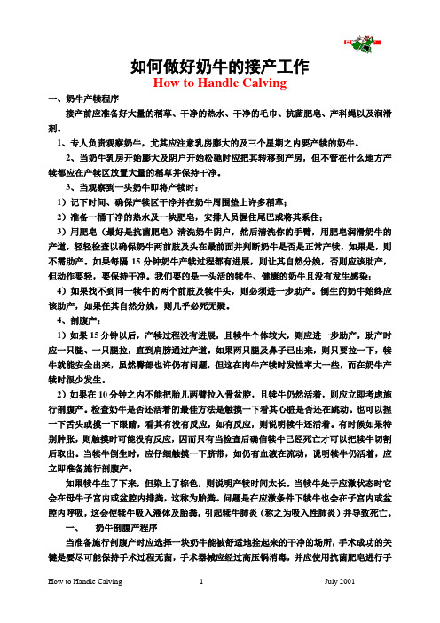 如何做好奶牛的接产工作