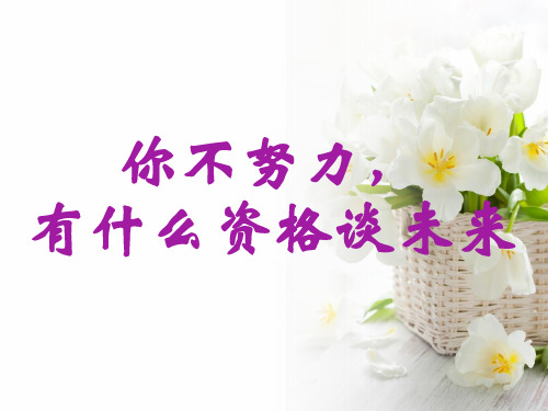 你不努力,有什么资格谈末来(共27张PPT)