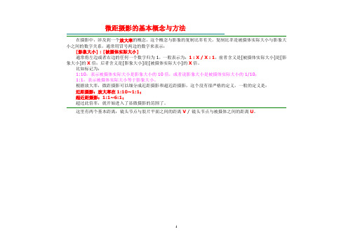 微距摄影的基本概念与方法