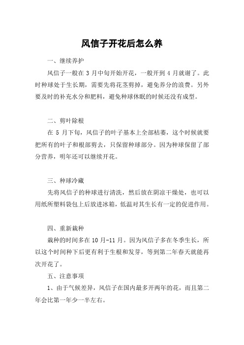 风信子开花后怎么养