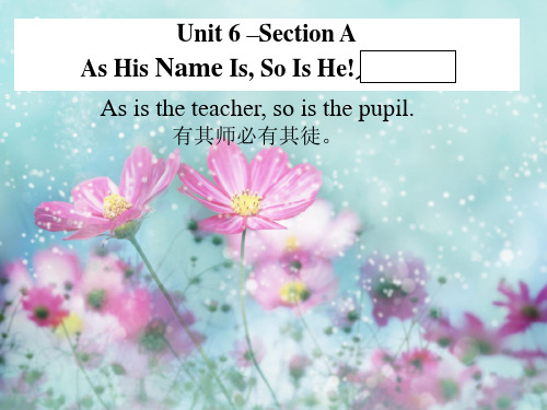 新视野第二册unit6