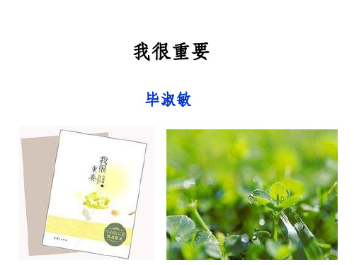 《我很重要》毕淑敏