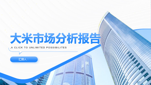 大米市场分析报告