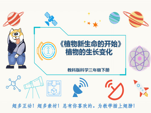 教科版科学三年级下册《植物新生命的开始》植物的生长变化