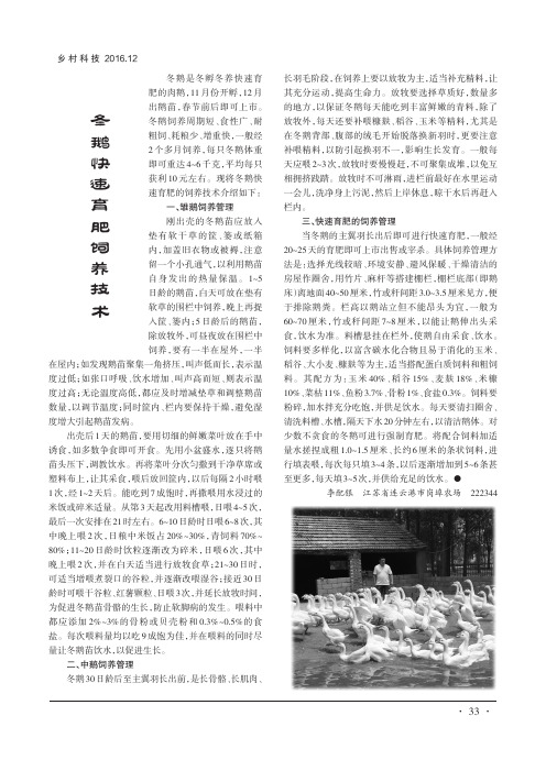 冬鹅快速育肥饲养技术